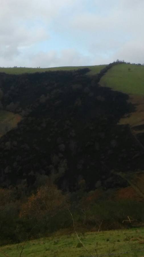 Los daños del fuego en Cangas del Narcea