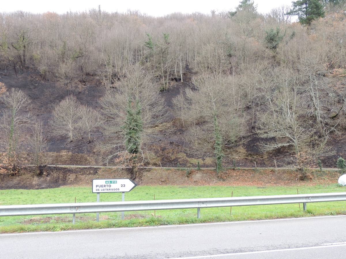 Los daños del fuego en Cangas del Narcea