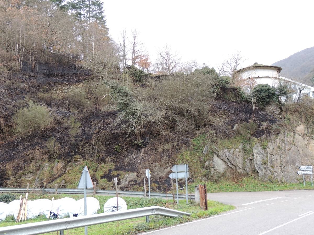 Los daños del fuego en Cangas del Narcea