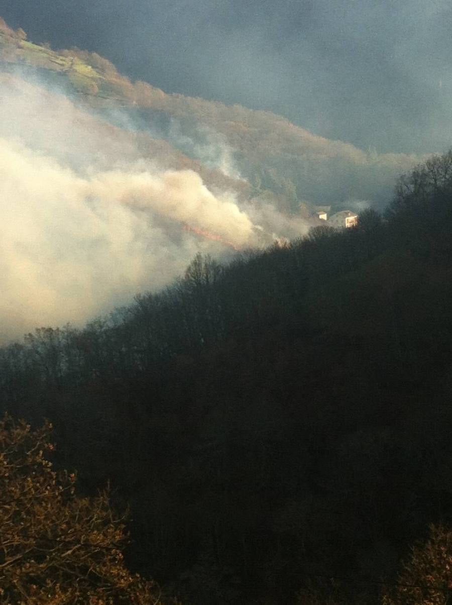 Los daños del fuego en Cangas del Narcea