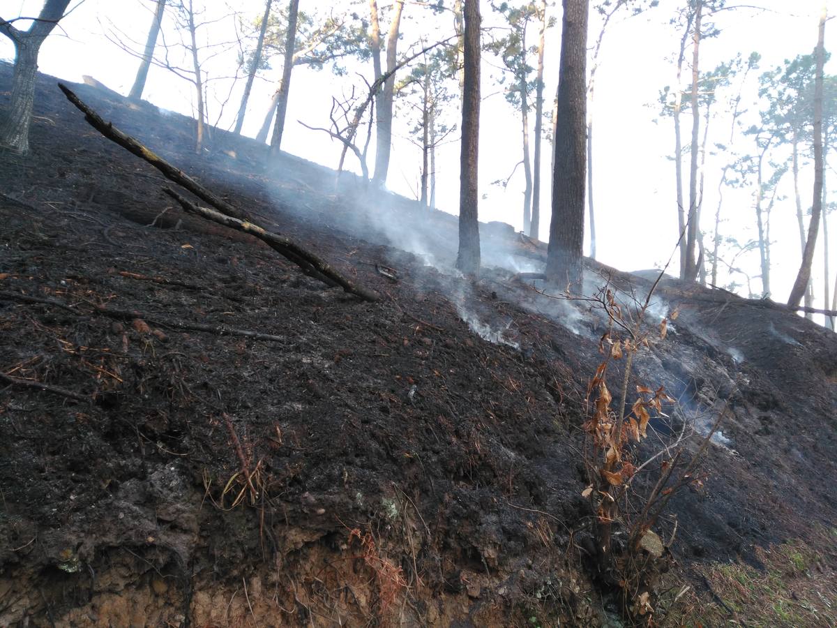 Los efectos del fuego en Coaña