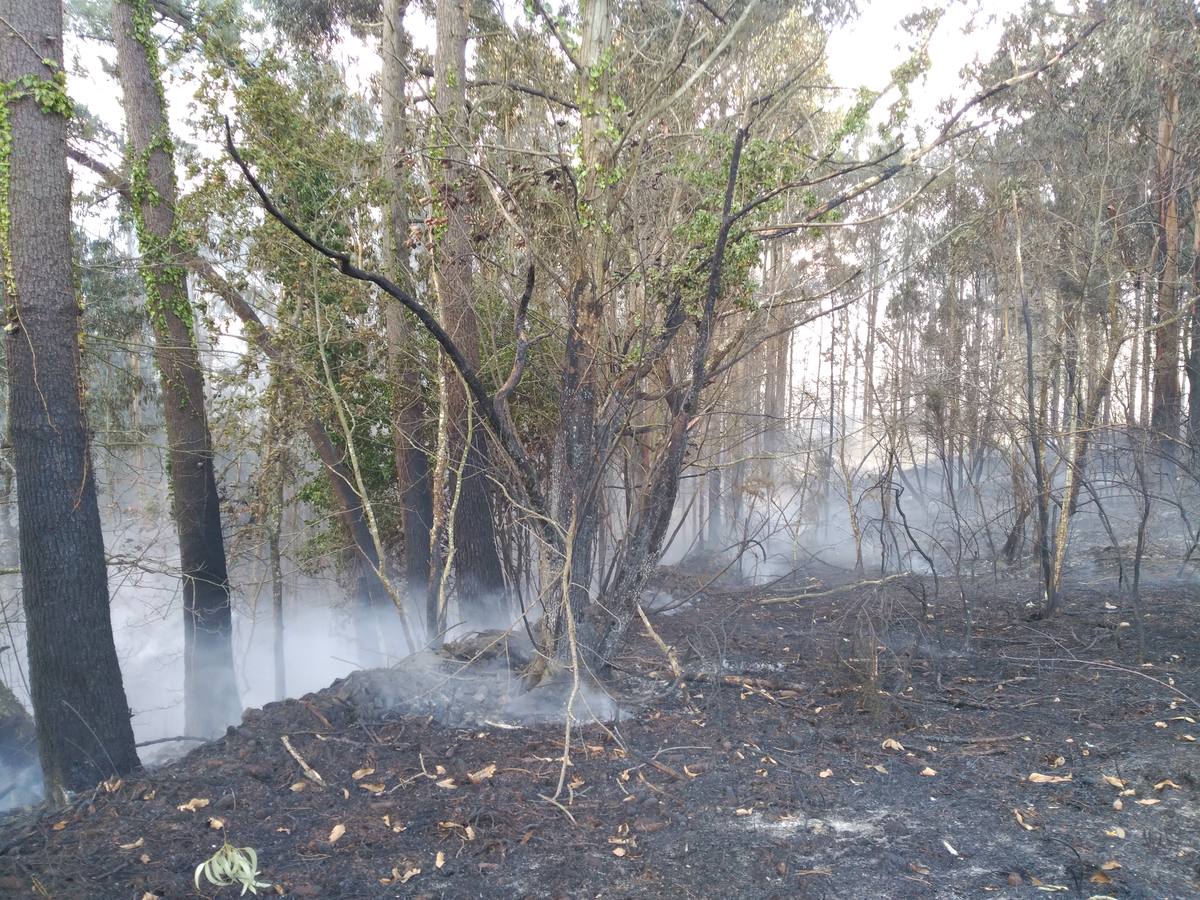 Los efectos del fuego en Coaña