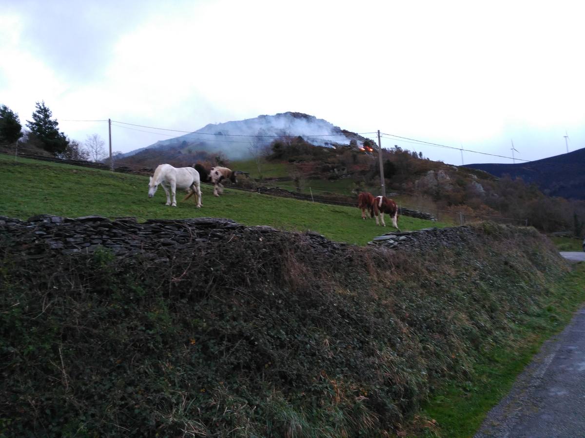 Los daños del fuego en Asturias