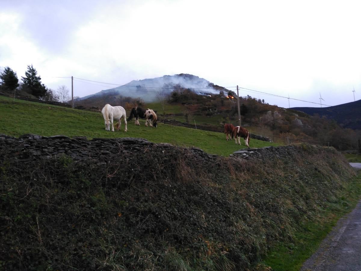 Los daños del fuego en Asturias