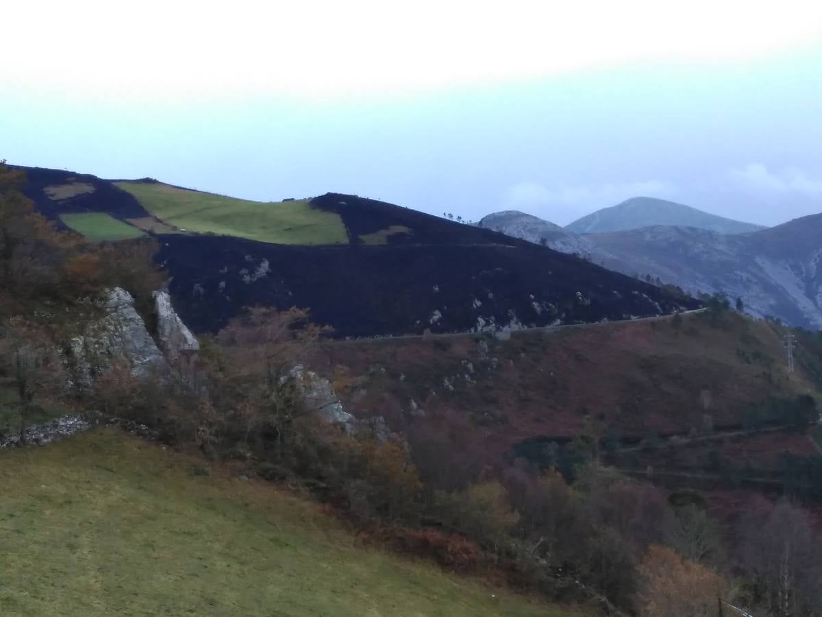 Los daños del fuego en Asturias