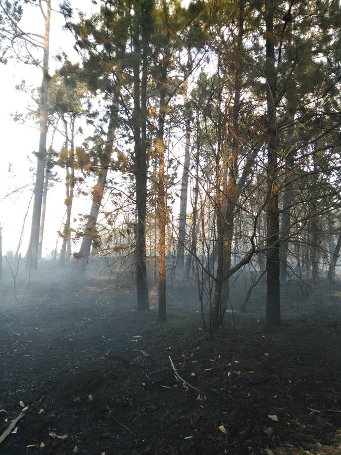 Los daños del fuego en Asturias