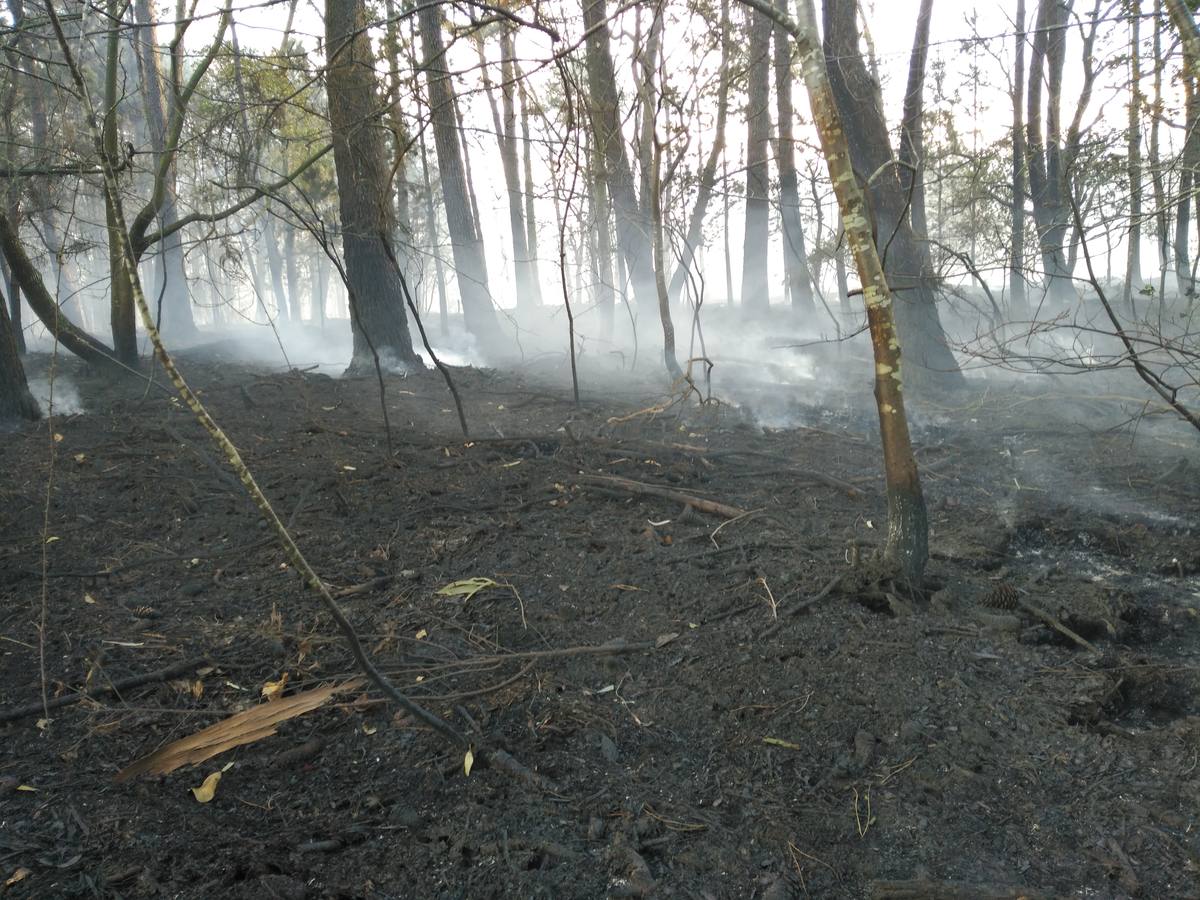 Los daños del fuego en Asturias