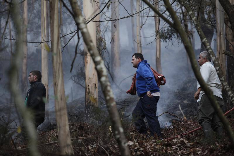 Varios vecinos luchando contra el fuego en la zona de La Barrosa, en el occidente.