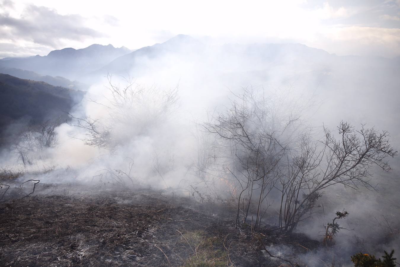 Las imágenes que dejan cinco días de lucha contra el fuego en Asturias