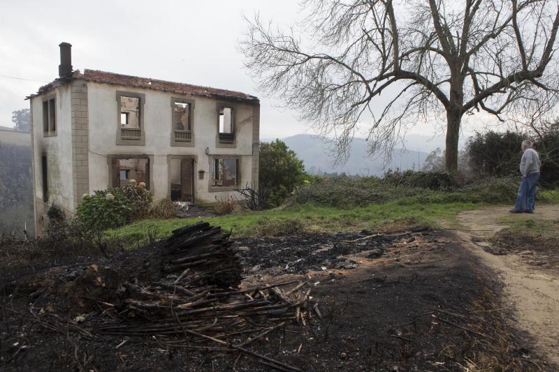 Occidente de Asturias.