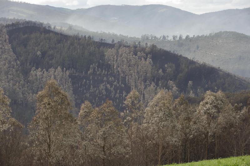 Occidente de Asturias.