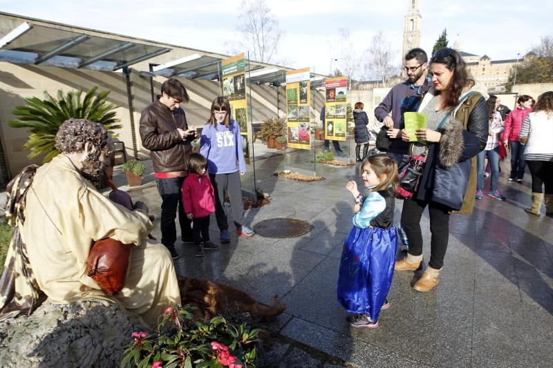 Jardín Botánico de Gijón.