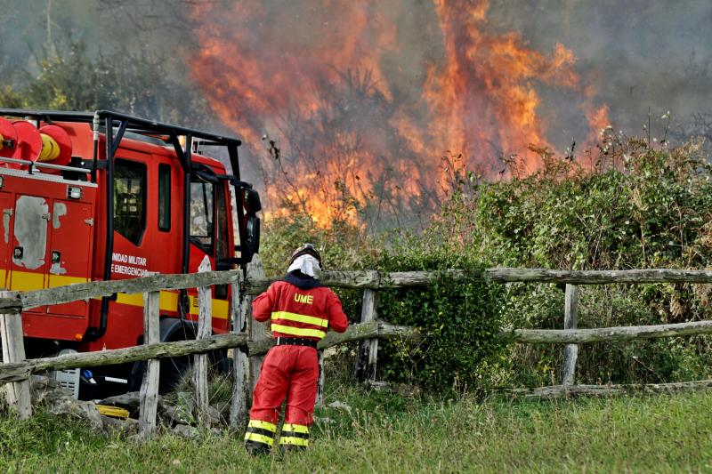 Bomberos y vecinos se arman contra el fuego