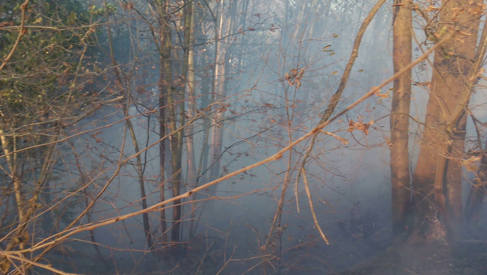 Bomberos y vecinos se arman contra el fuego