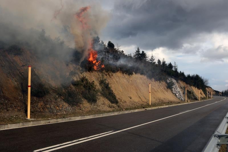 Bomberos y vecinos se arman contra el fuego