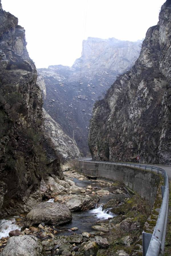 Los daños del fuego en Ponga