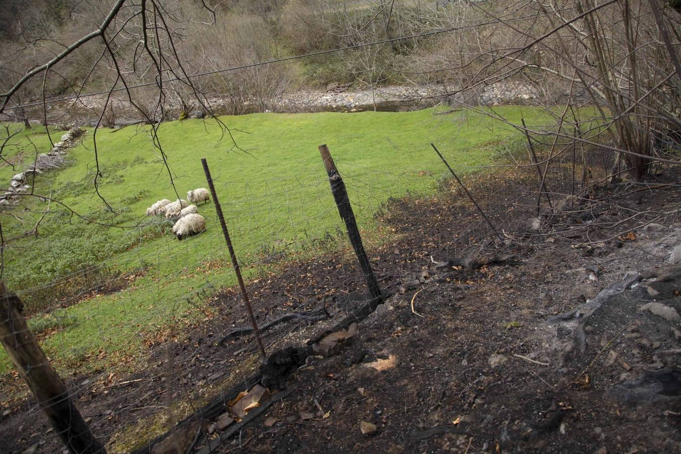 Los daños del fuego en Ponga