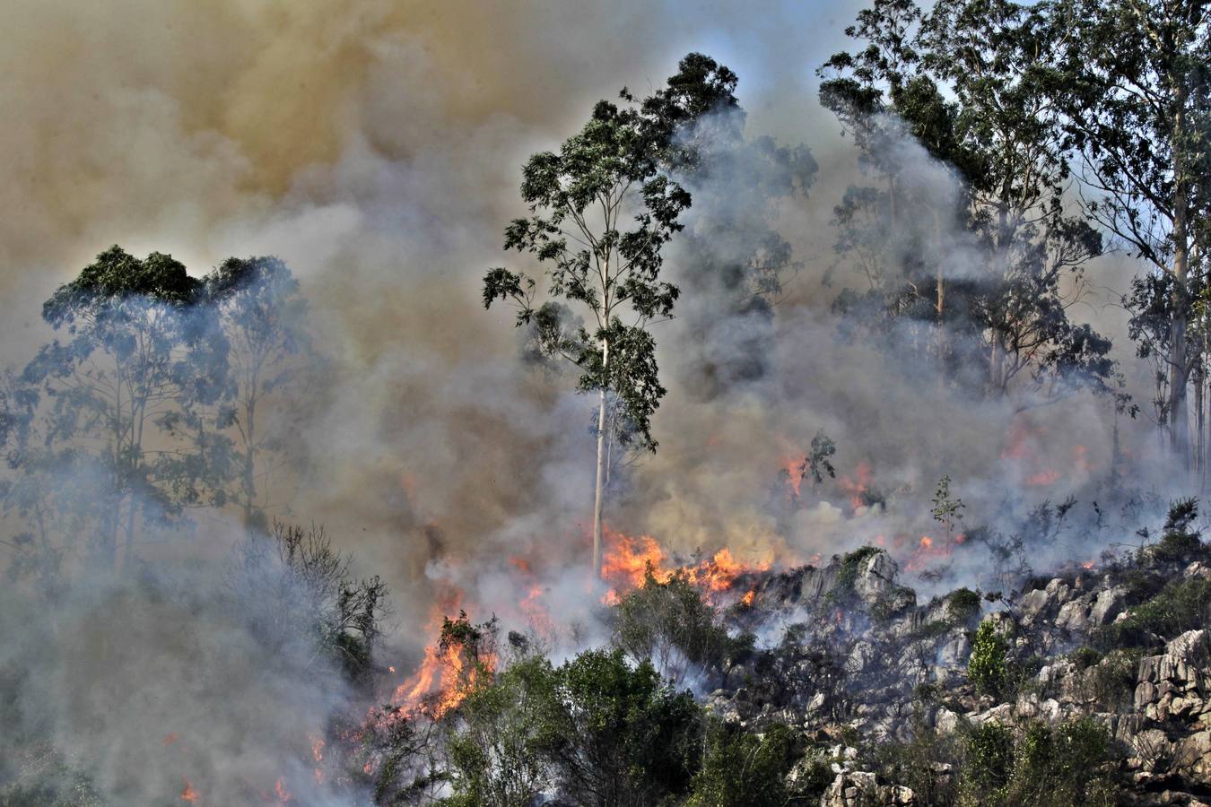 Espectacular incendio de Soto de Ribera