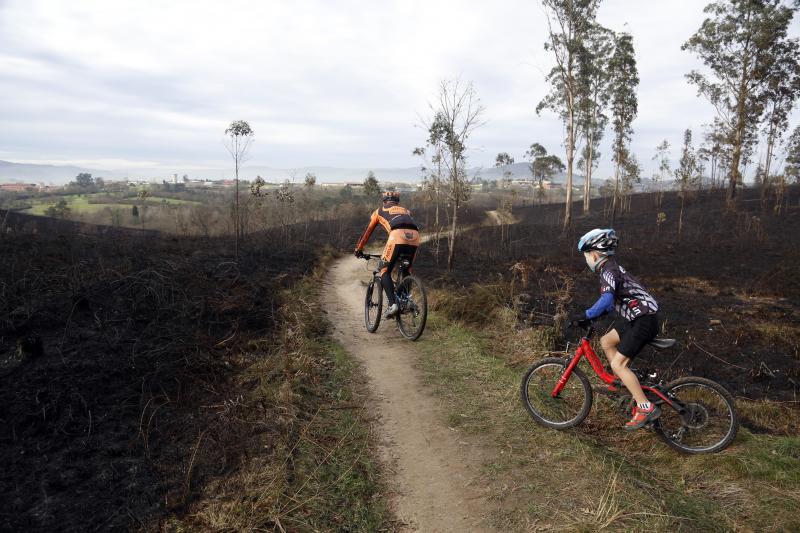 Así están los alrededores de La Fresneda tras el incendio que cercó la urbanización