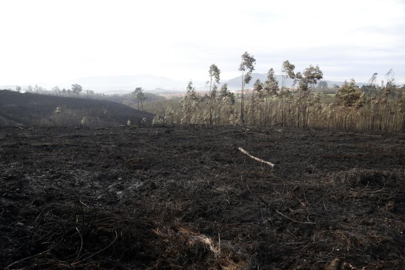 Así están los alrededores de La Fresneda tras el incendio que cercó la urbanización