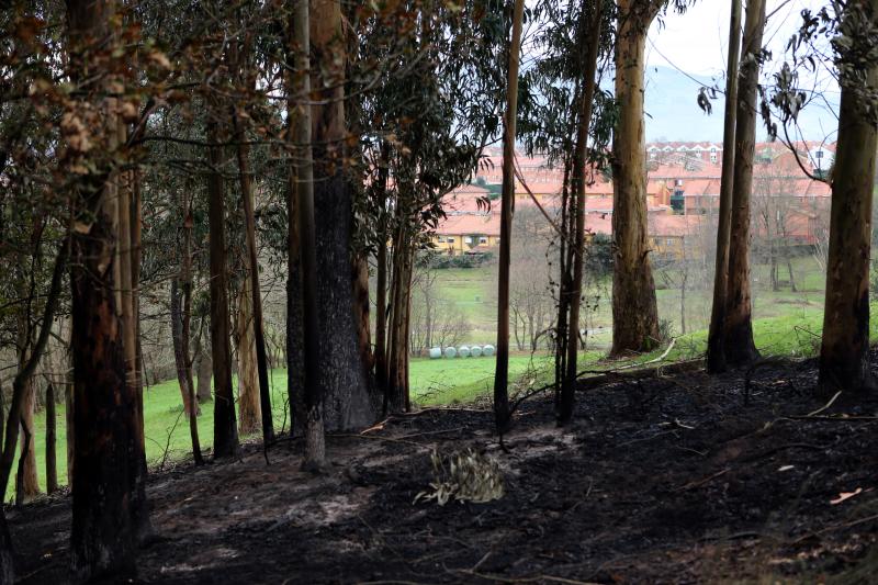 Así están los alrededores de La Fresneda tras el incendio que cercó la urbanización