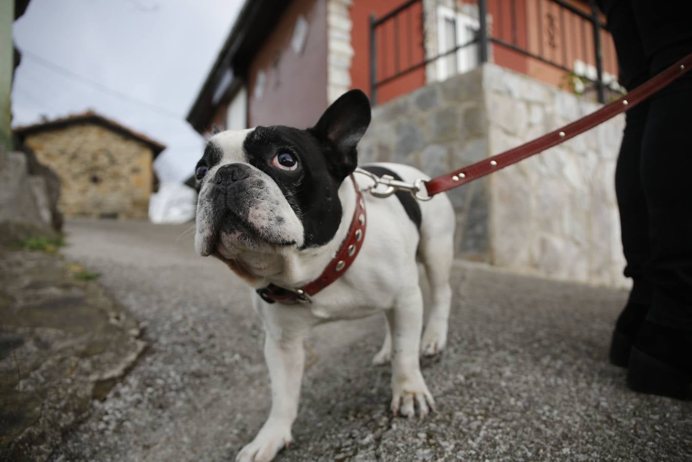La Casa BAxo, pueblo Afayaizo 2015