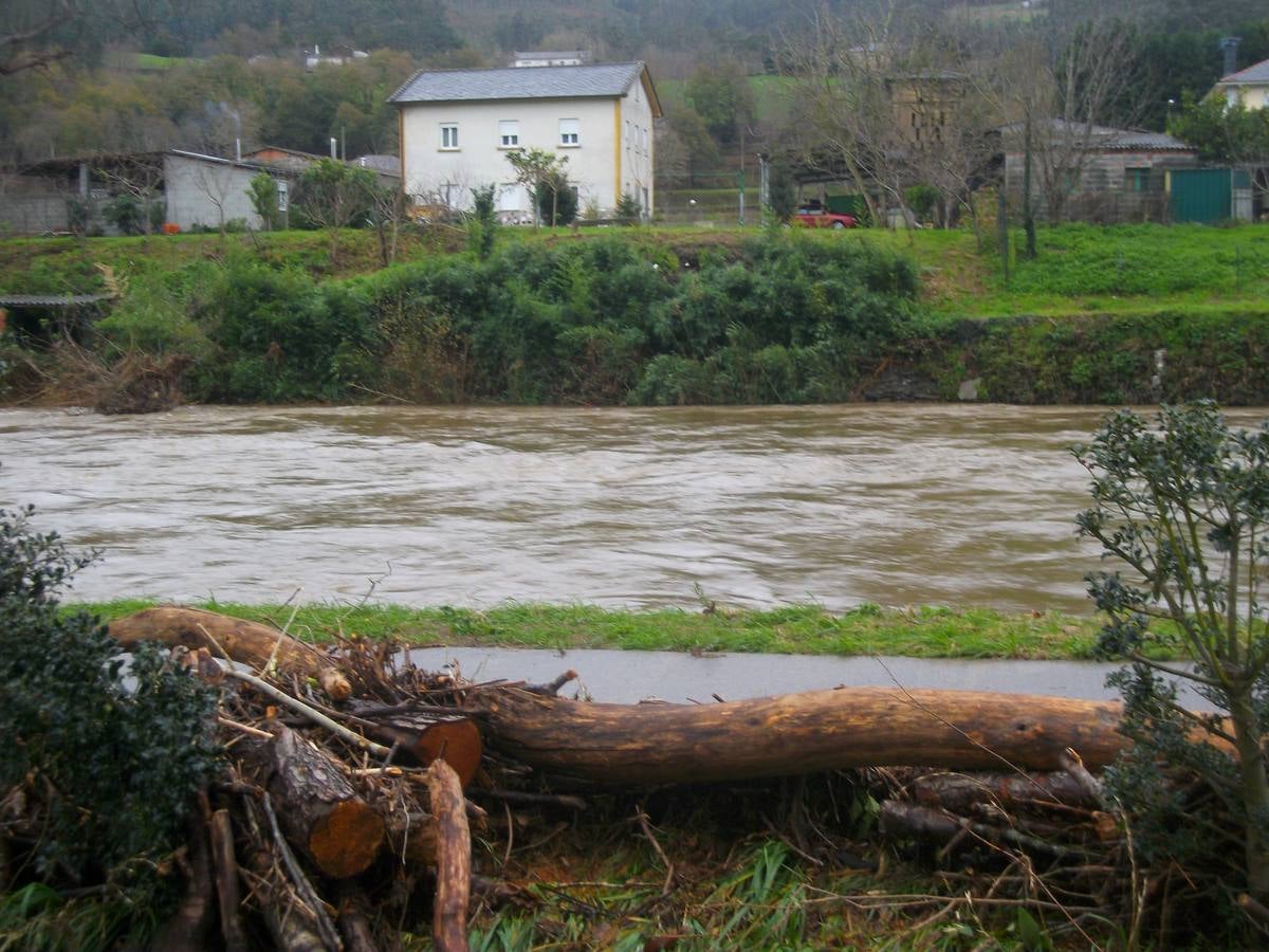 El caudal del río Eo, al máximo en San Tirso de Abres.