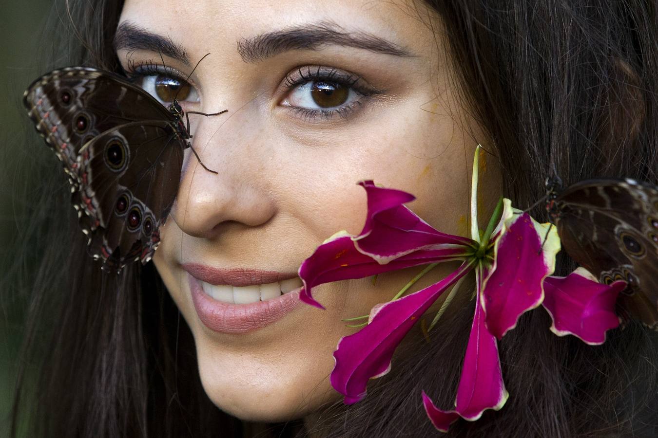 Exposición de mariposas