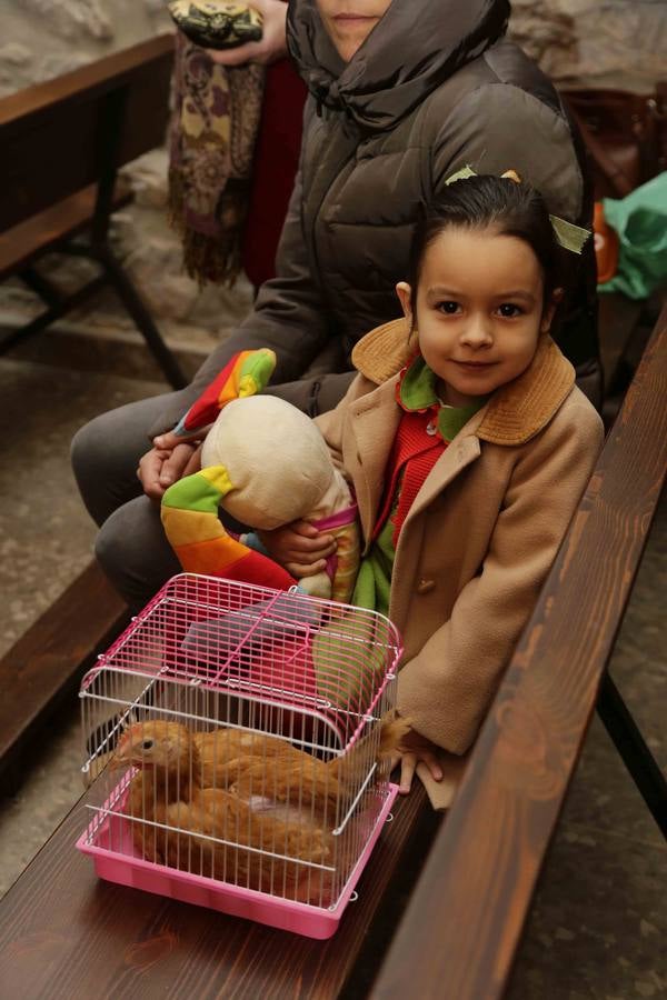 Bendición de las mascotas en Parres