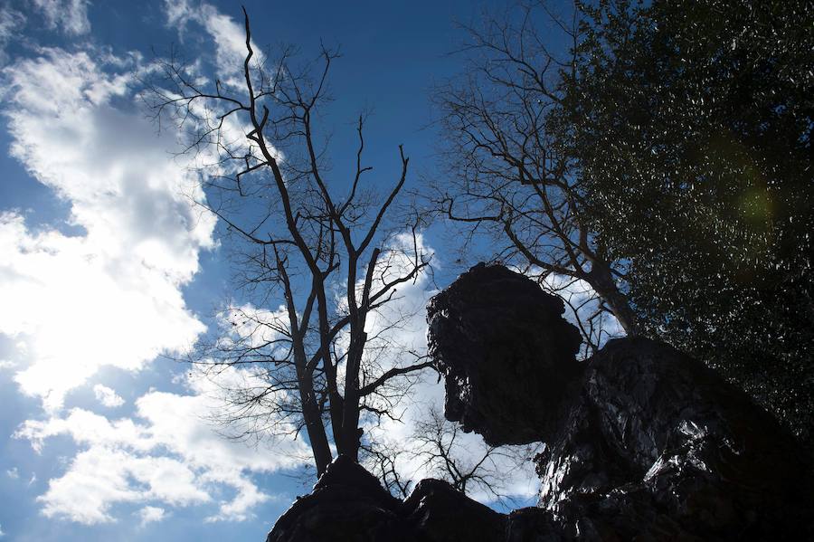 Ondas gravitacionales: Einstein tenía razón