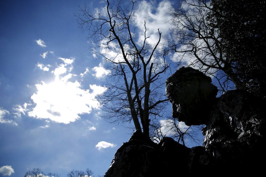 Ondas gravitacionales: Einstein tenía razón