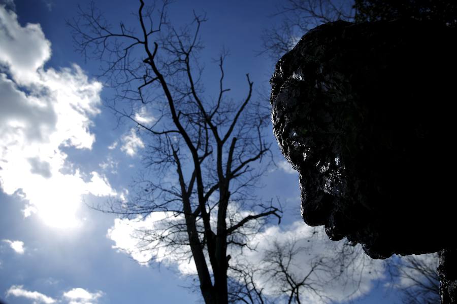 Ondas gravitacionales: Einstein tenía razón