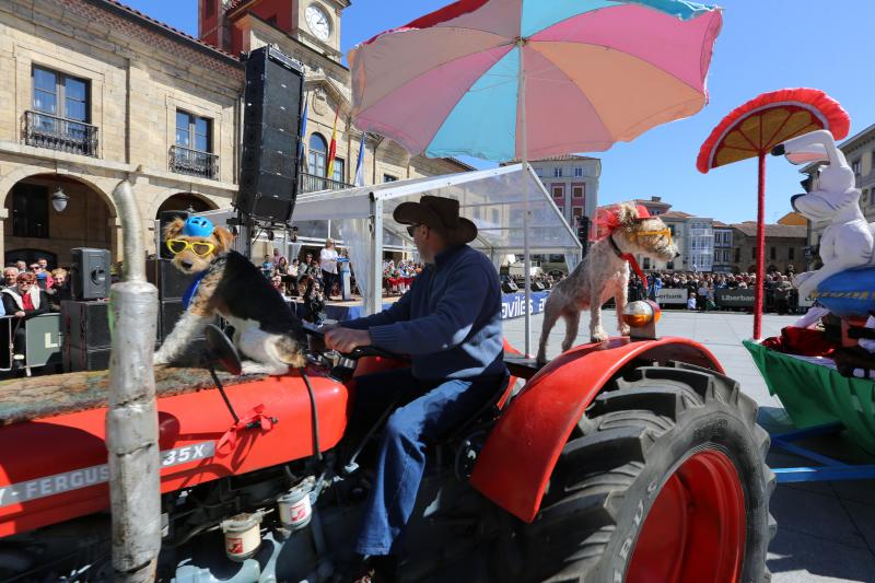 Avilés inicia las fiestas de El Bollo