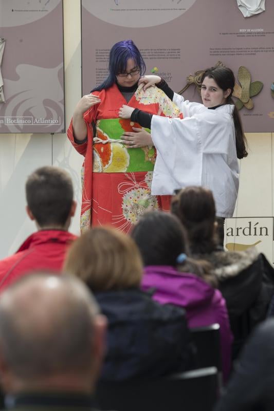 Flores de papel en el Botánico
