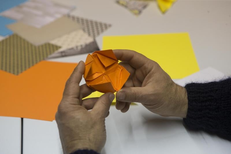 Flores de papel en el Botánico