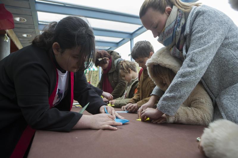 Flores de papel en el Botánico