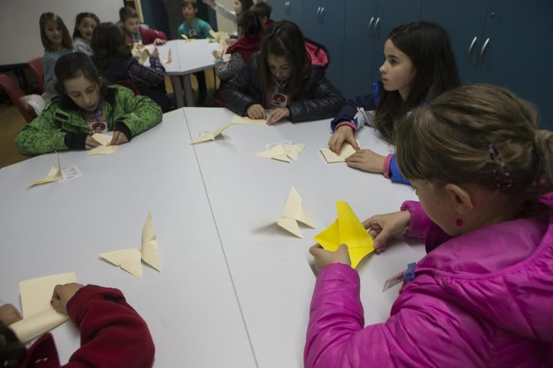 Flores de papel en el Botánico