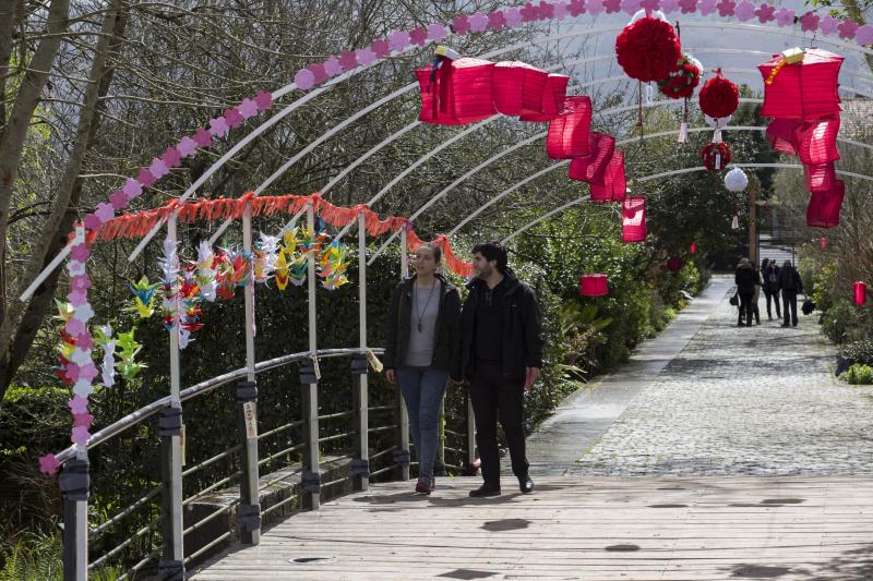 Flores de papel en el Botánico