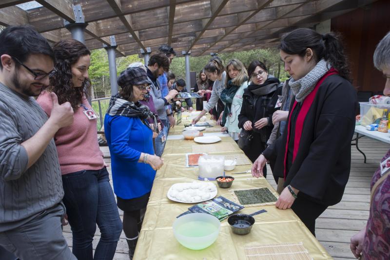 Flores de papel en el Botánico