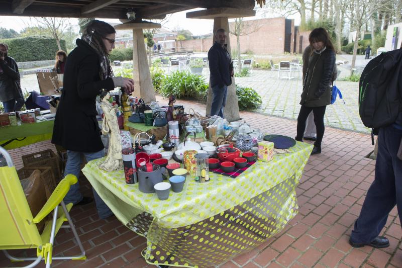 Flores de papel en el Botánico