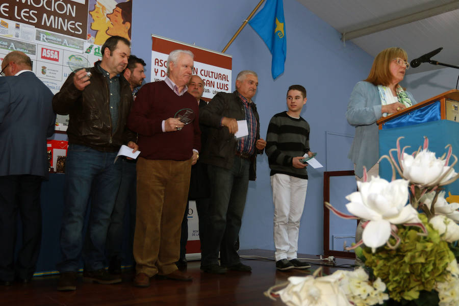 Premios del XXII Concurso de Les Mines y XIII de Gaita