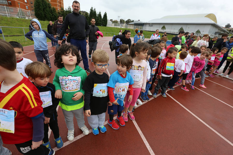 II Carrera escolar solidaria por el Sáhara