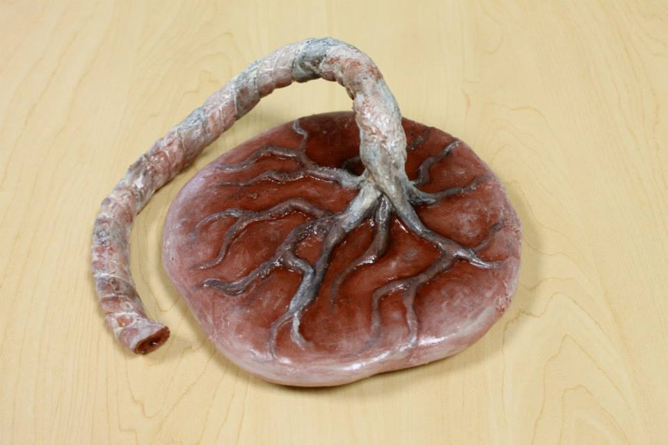 La repostería de Katherine Dey