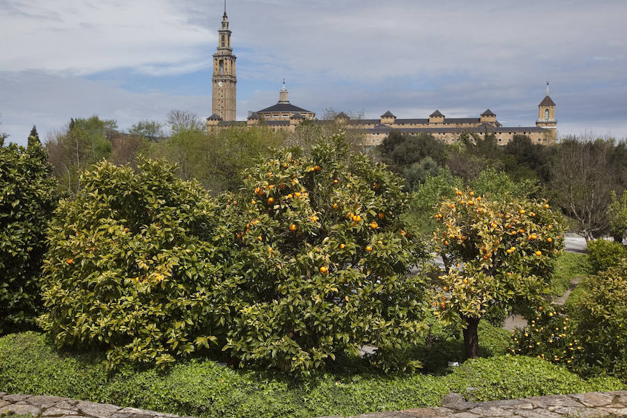 Jornada de puertas abiertas en el Jardín Botánico de Gijón