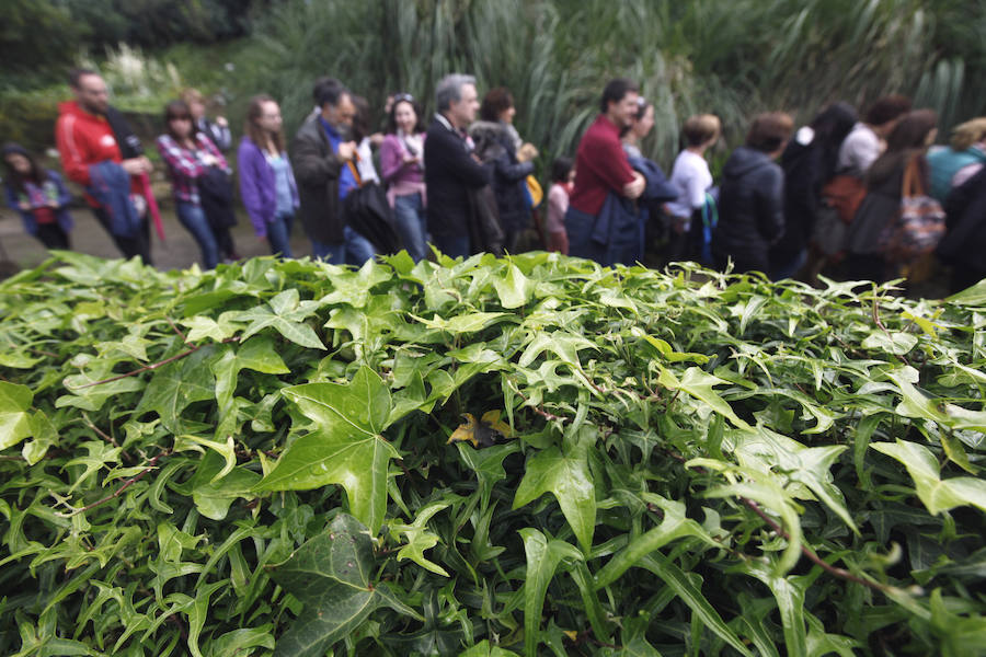 Jornada de puertas abiertas en el Jardín Botánico de Gijón