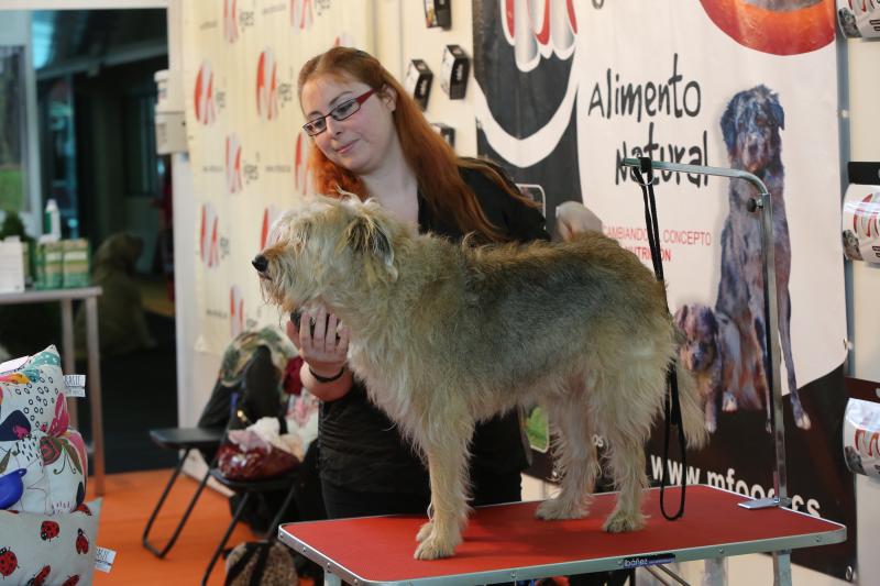 Salón de las Mascotas en Avilés