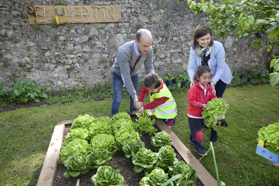 Los peques del Codema ya tienen su huerto