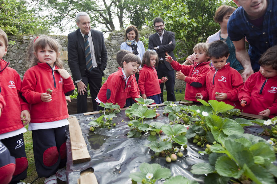Los peques del Codema ya tienen su huerto