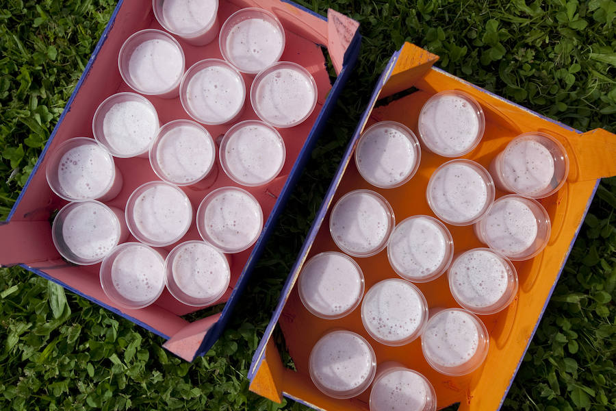 Los peques del Codema ya tienen su huerto