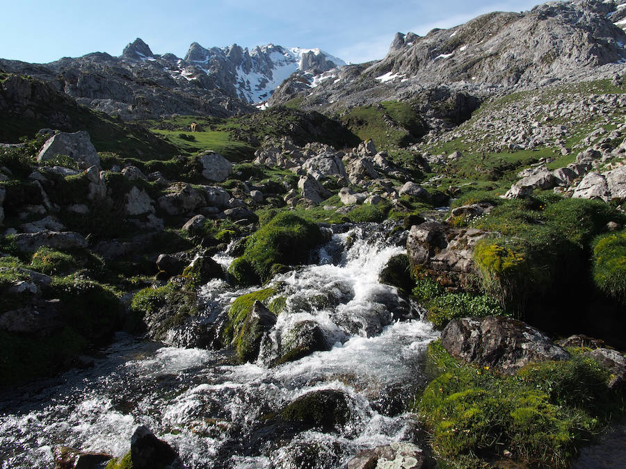 Los Gueyos del Junjumia (Picos de Europa). 